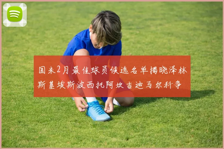 国米2月最佳球员候选名单揭晓泽林斯基埃斯波西托阿坎吉迪马尔科争夺荣誉
